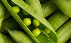Czy groch ma gluten? Odkryj, dlaczego jest bezpieczny dla Ciebie