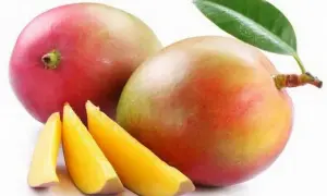 Czy mango tuczy? Odkryj prawdę o kaloriach i diecie!