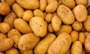 Ile kcal mają ziemniaki? Sprawdź, jak je przygotować niskokalorycznie