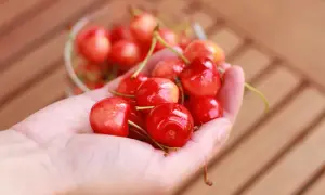 Ile kalorii ma kilogram czereśni? Zaskakujące fakty o ich wartości odżywczej