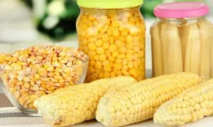 Ile kcal ma kukurydza z puszki? Sprawdź kaloryczność i wartości odżywcze