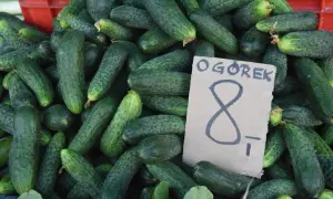 Ile kalorii mają ogórki? Zaskakujące różnice między rodzajami