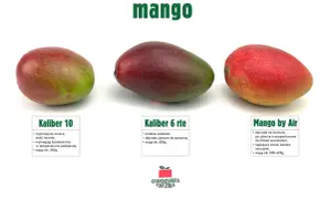 Ile kcal ma mango? Poznaj prawdziwą wartość energetyczną owocu