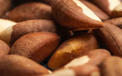 Superfood z Amazonii. Orzechy brazylijskie i ich właściwości, które zaskakują