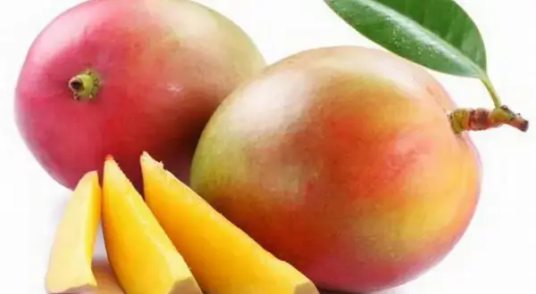 Czy mango tuczy? Odkryj prawdę o kaloriach i diecie!