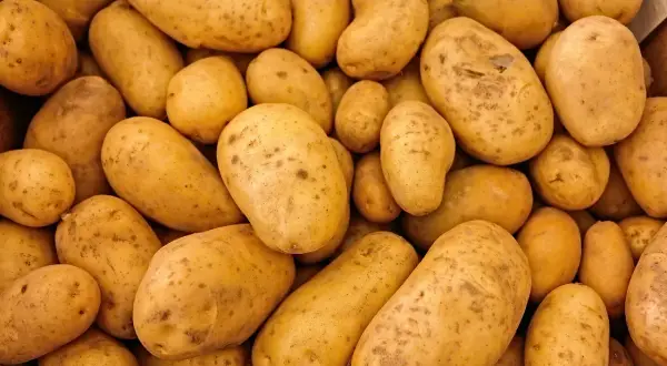Ile kcal mają ziemniaki? Sprawdź, jak je przygotować niskokalorycznie
