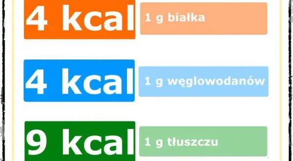 Białko ile kcal? Poznaj kaloryczność i znaczenie dla zdrowia