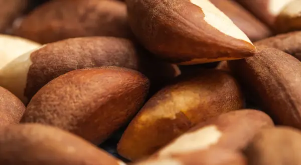 Superfood z Amazonii. Orzechy brazylijskie i ich właściwości, które zaskakują