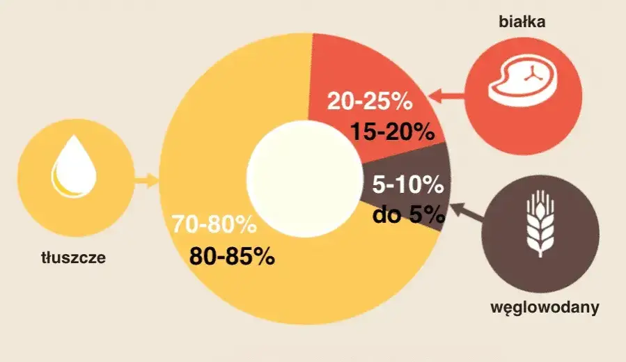 Jakie proporcje makro na redukcji? Osiągnij wymarzoną sylwetkę