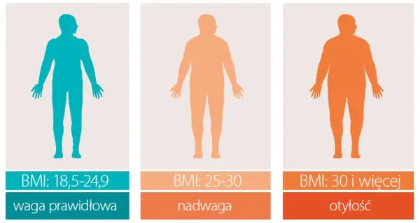 BMI 28 co to znaczy? Sprawdź, jakie niesie zagrożenia zdrowotne